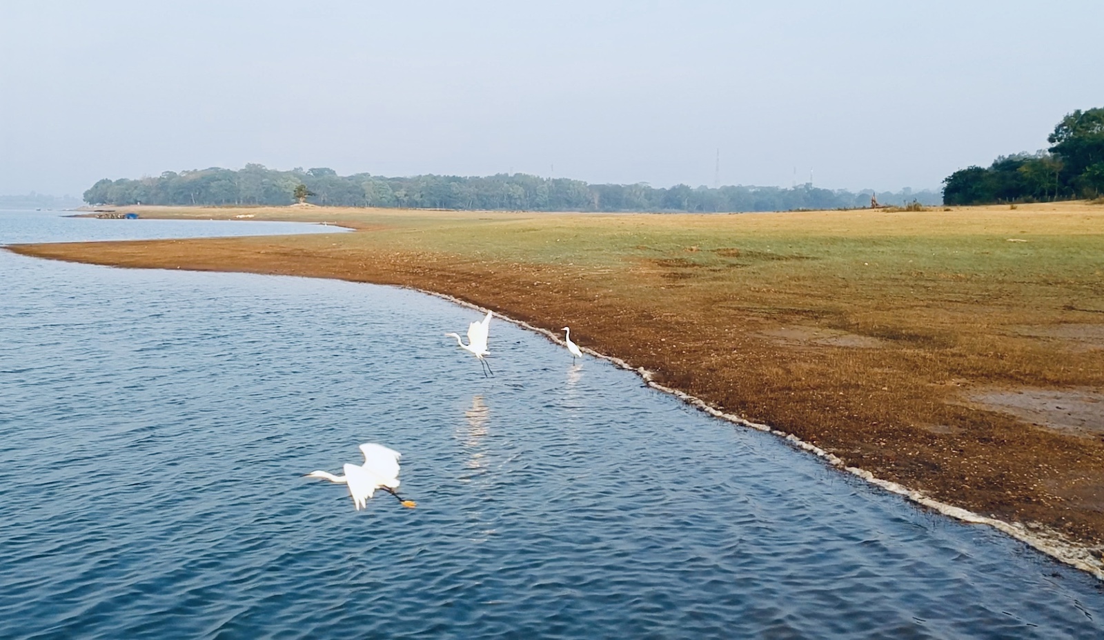 Kabini – March 2019